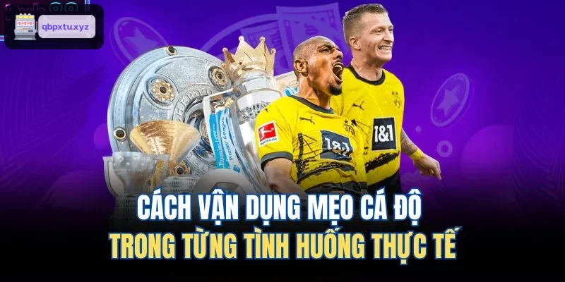 Cách vận dụng mẹo cá độ trong từng tình huống thực tế